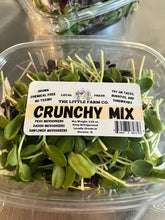 Load image into Gallery viewer, Micro greens