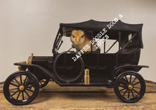 Load image into Gallery viewer, Magnet