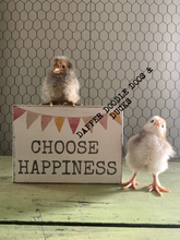 Load image into Gallery viewer, Magnet