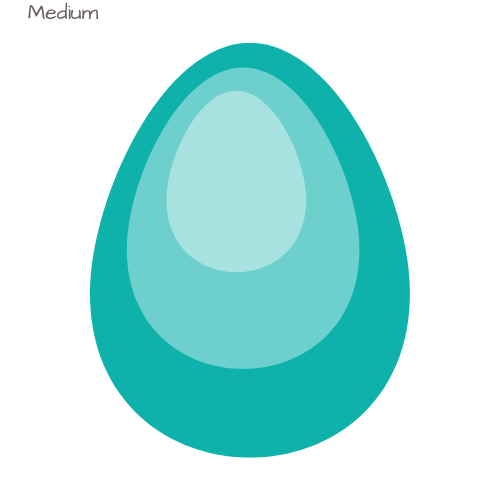 AA Dozen medium eggs
