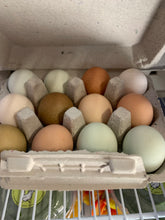 Load image into Gallery viewer, a dozen eggs with shells of various colors: green, olive, brown, white, tan
